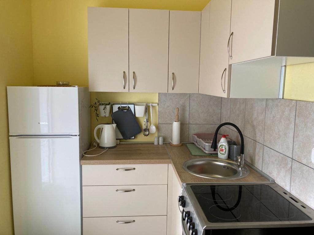 Apartmani Fijan พาก ภายนอก รูปภาพ
